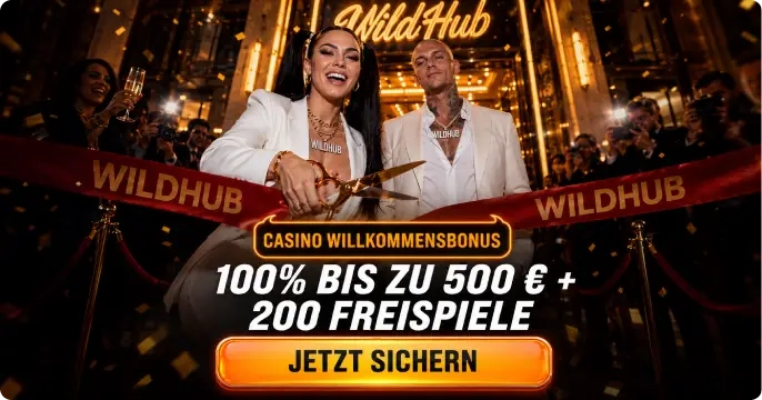 WildHub Casino